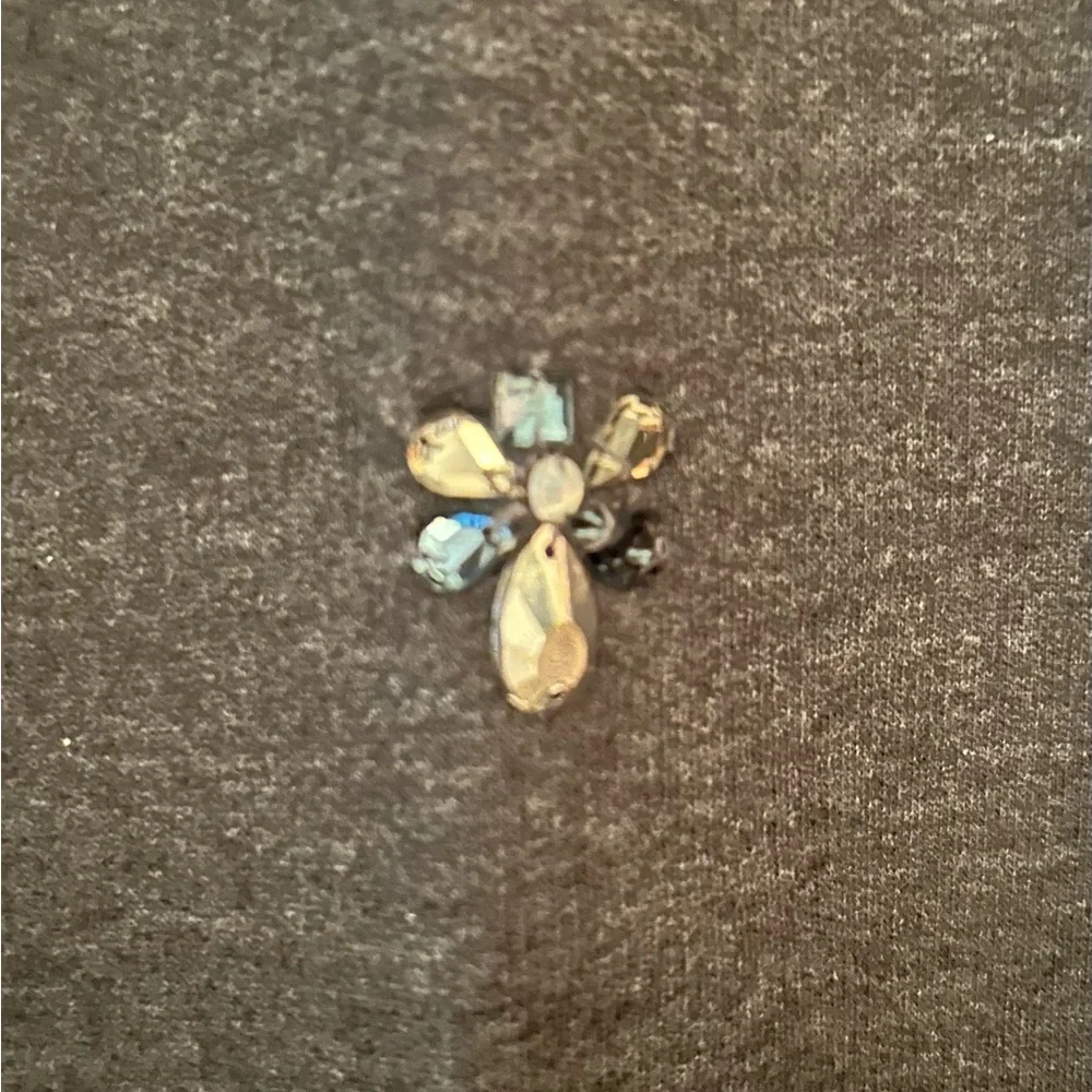 J.Crew Embellished Sweatshirt Size XS New With Tags! - Picture 10 of 10
